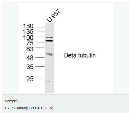 6052b7182b8ef.png image.png